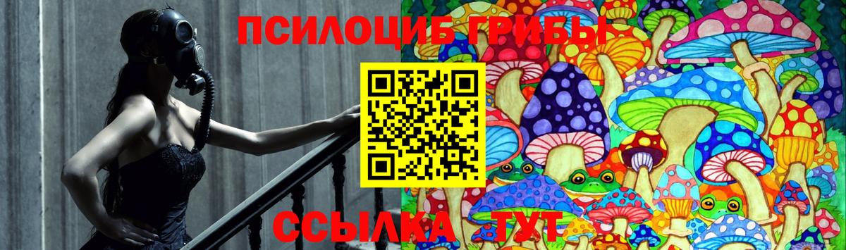 Псилоцибиновые грибы мицелий Алапаевск